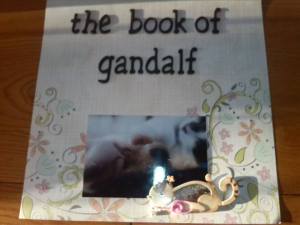 Yes, Gandalf has his own album! The Book of Gandalf