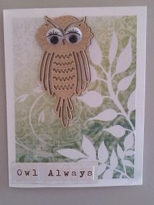 Owl Anniversary Card  (front)